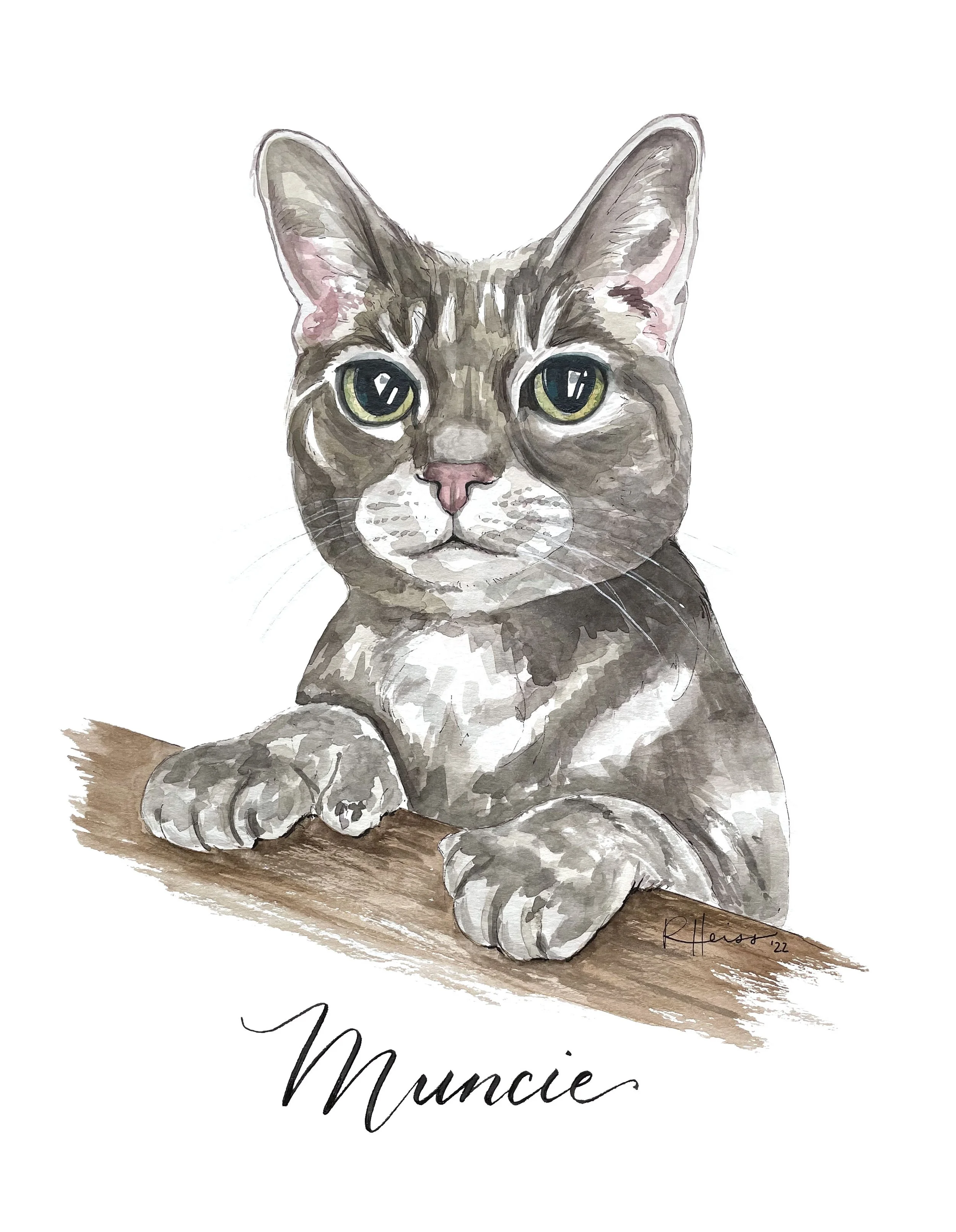Pet Portraits — Rachel Heiss